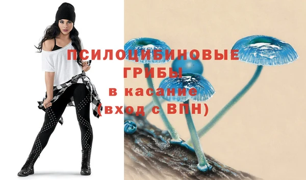 шишки Кинешма