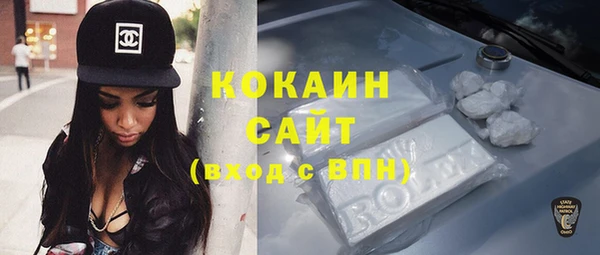 дживик Козельск