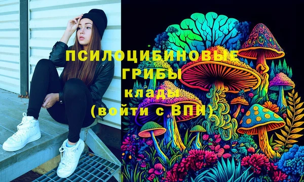 стафф Осинники
