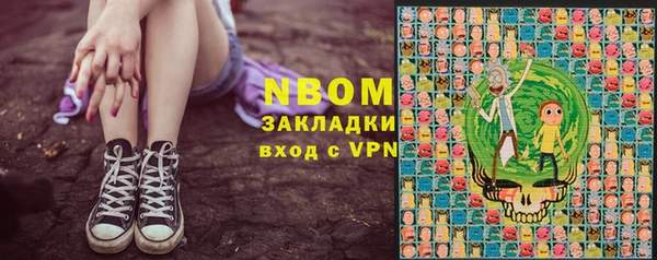 дживик Козельск