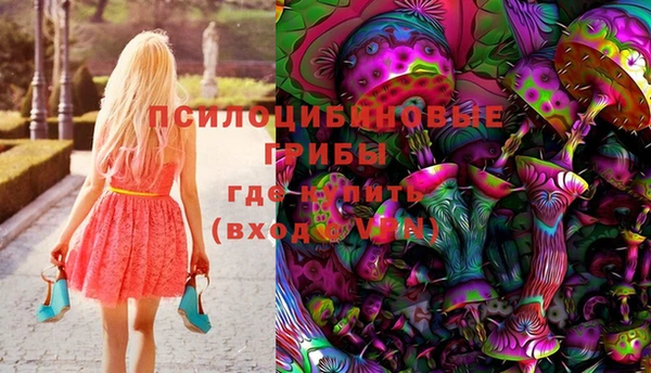 дурь Сатка