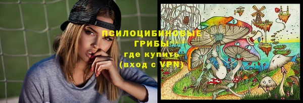 дживик Козельск