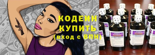 дживик Козельск