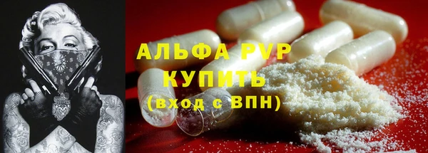 дживик Козельск