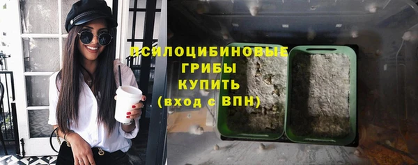 таблы Козловка