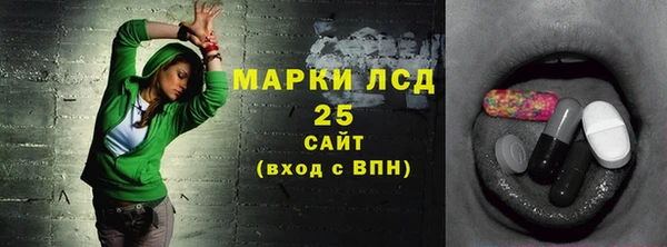 дживик Козельск
