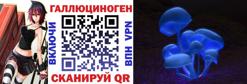 Галлюциногенные грибы GOLDEN TEACHER цена Касимов