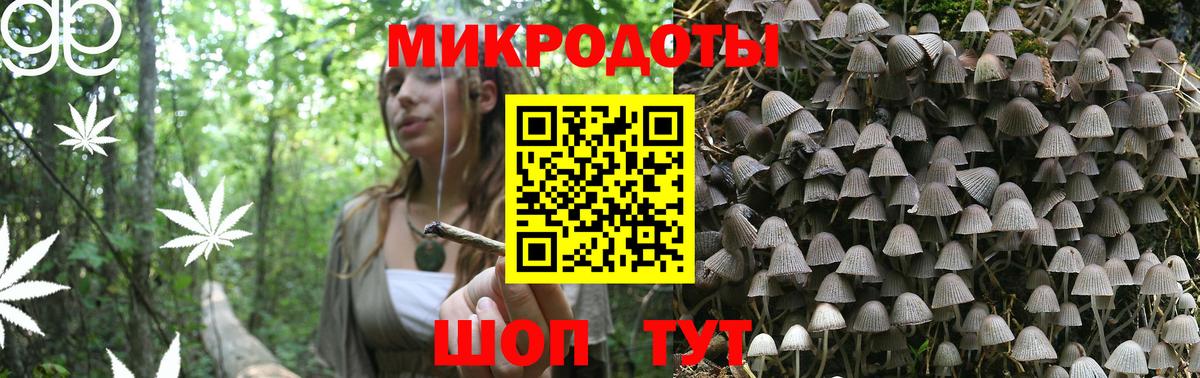 Псилоцибиновые грибы Magic Shrooms  Вход с VPN  Касимов  Псилоцибиновые грибы Psilocybe 
