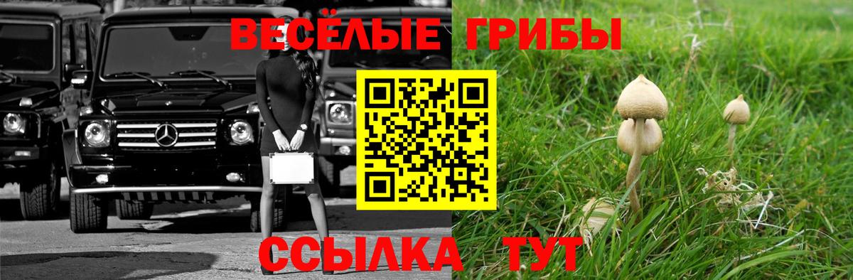 Псилоцибиновые грибы MAGIC MUSHROOMS Касимов
