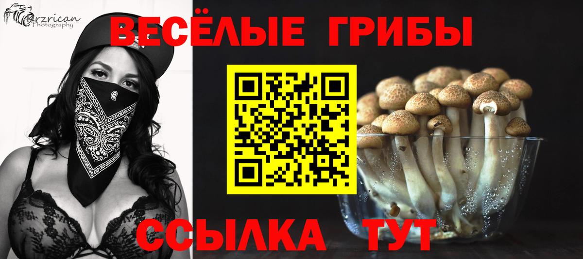 МЕТАМФЕТАМИН  ГАШ  Вход с VPN  Касимов  Alpha-PVP СОЛЬ   Конопля  Магазин наркотиков  COCAIN  Меф  